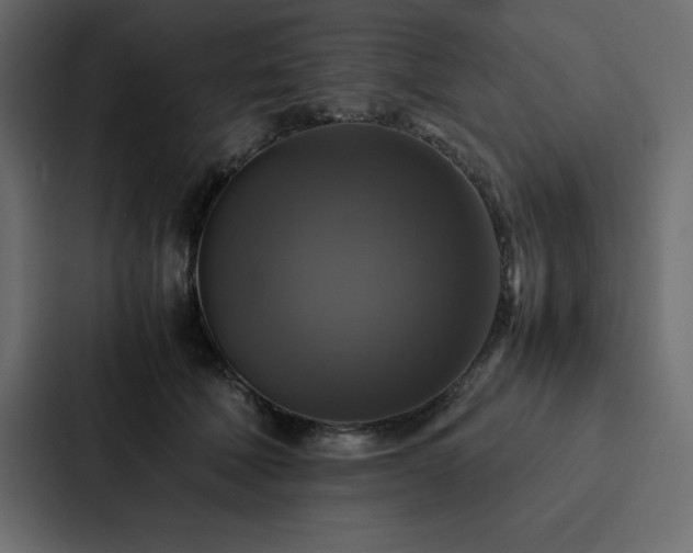 X0000088230610200705151454