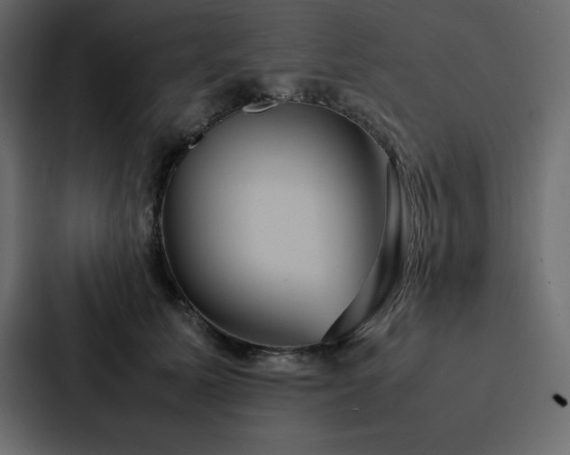X0000088230611200705151454