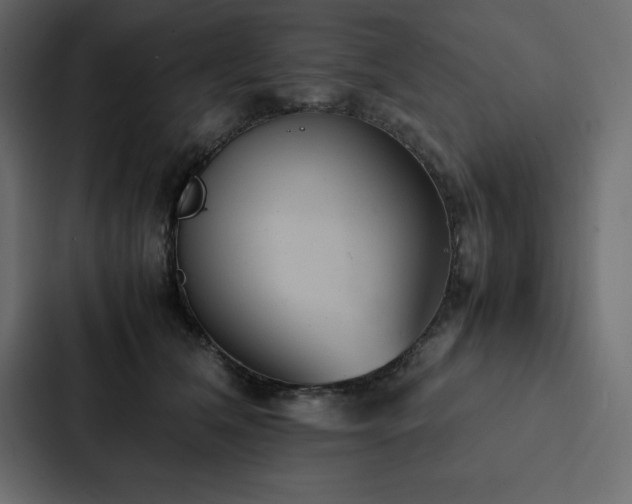 X0000088230612200705151454