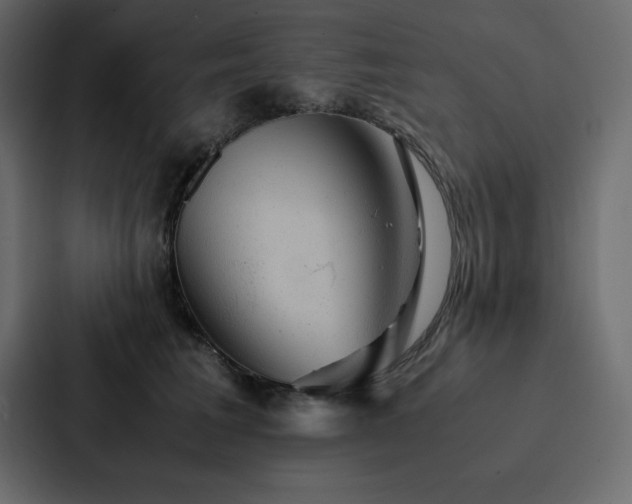 X0000088230613200705151454