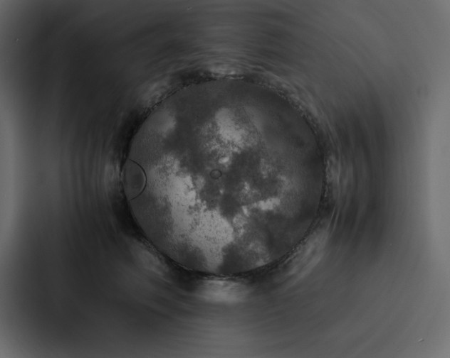 X0000088230614200705151454