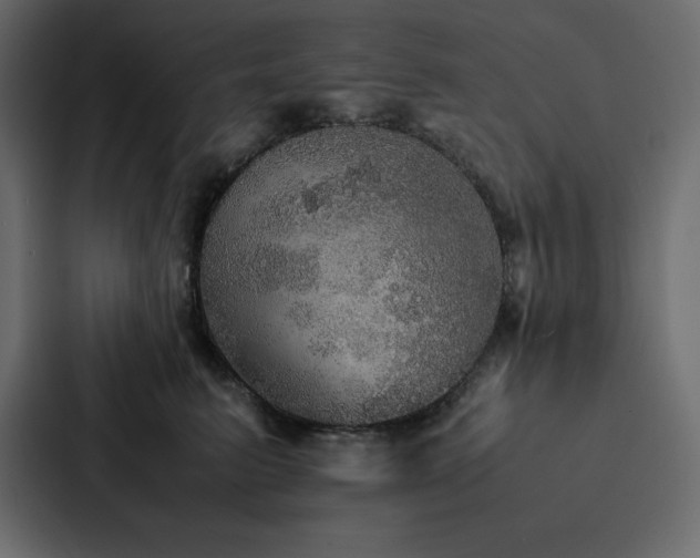 X0000088230615200705151454