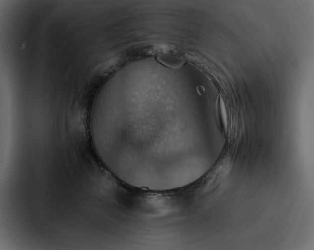 X0000088230616200705151454