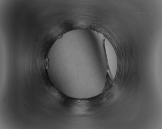 X0000088230617200705151454