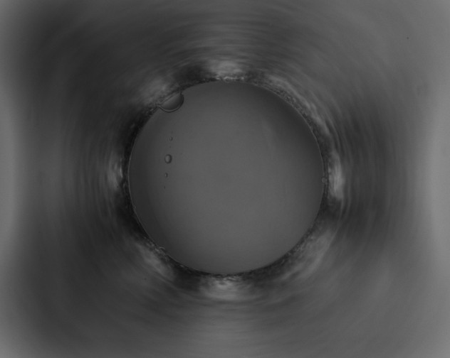 X0000088230618200705151454