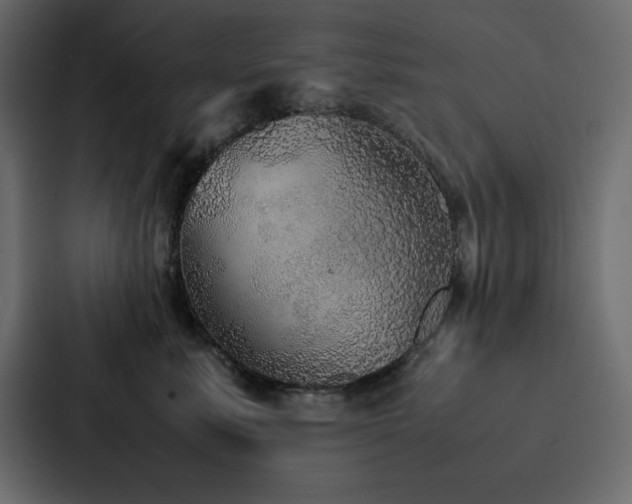 X0000088230619200705151454
