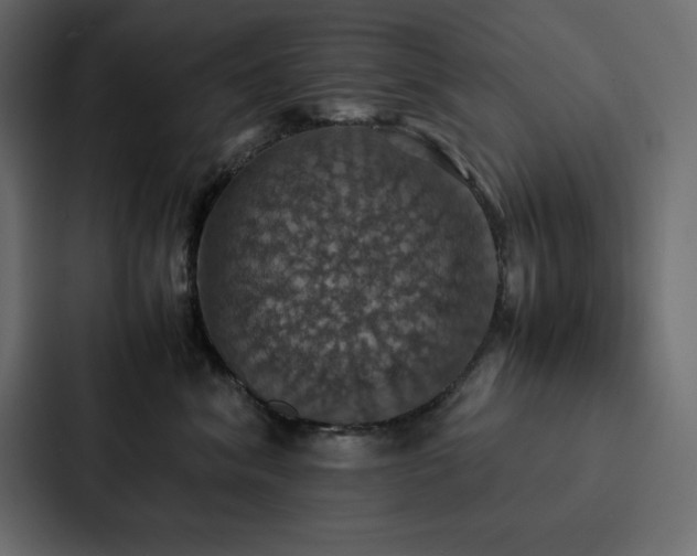 X0000088230620200705151454