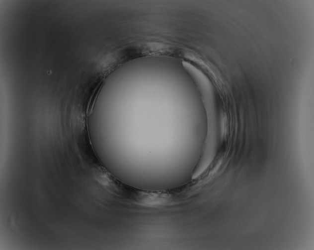 X0000088230621200705151454