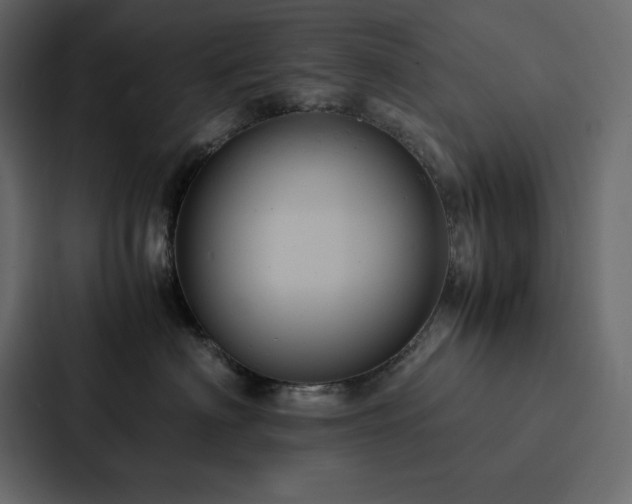 X0000088230622200705151454