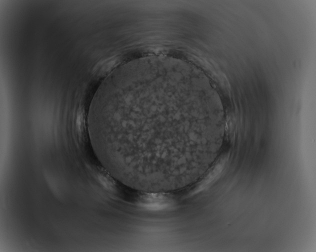X0000088230623200705151454