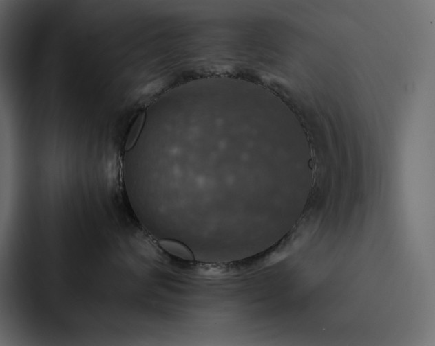 X0000088230624200705151454