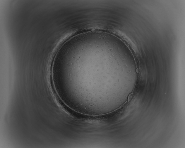 X0000088230625200705151453