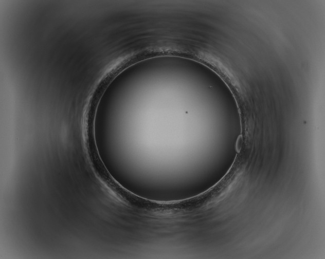 X0000088230629200705151453