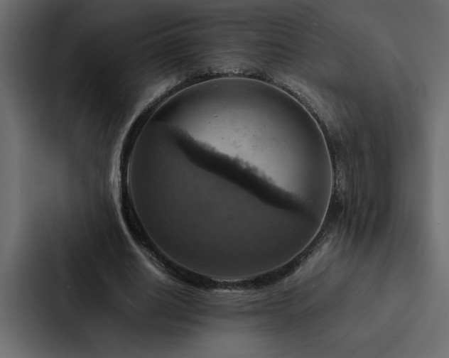 X0000088230630200705151453