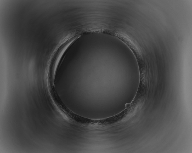 X0000088230634200705151453