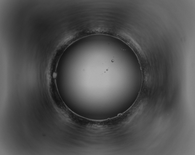 X0000088230635200705151453