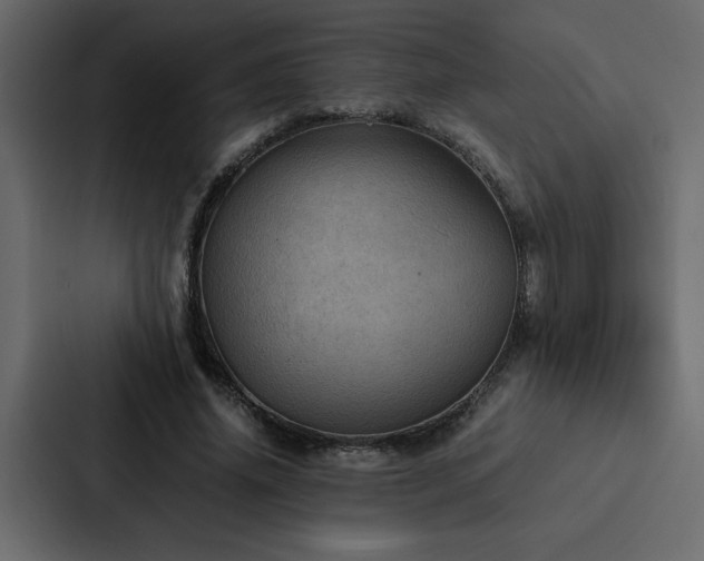 X0000088230636200705151453