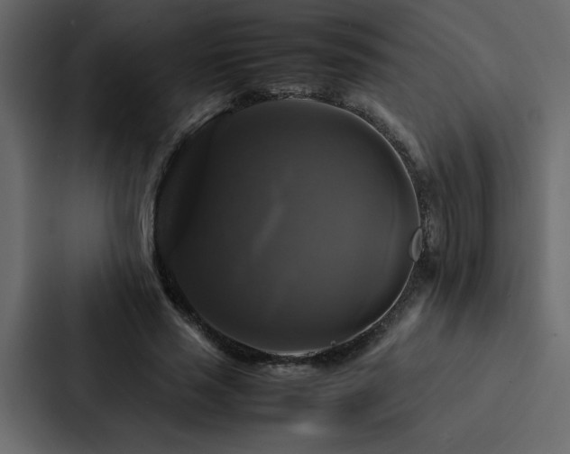 X0000088230637200705151453