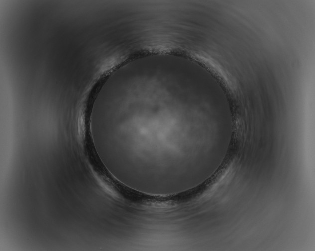 X0000088230638200705151453