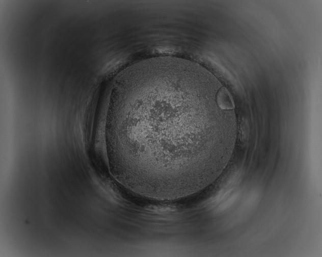 X0000088230639200705151453