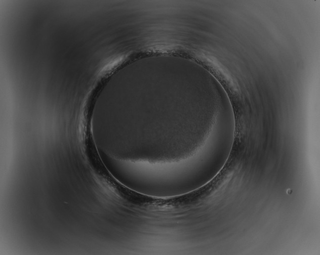 X0000088230640200705151453