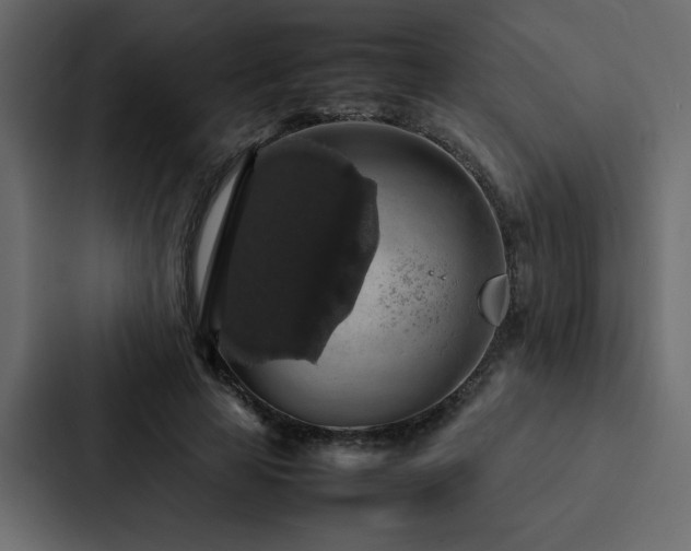 X0000088230641200705151453