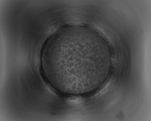 X0000088230642200705151453
