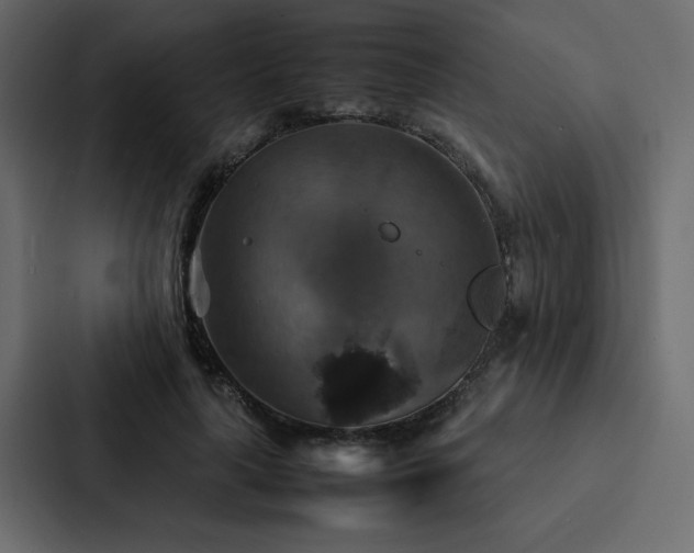 X0000088230643200705151453