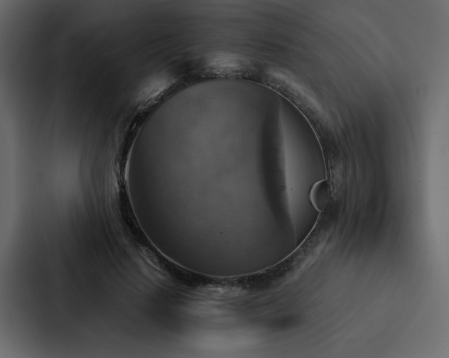 X0000088230644200705151453