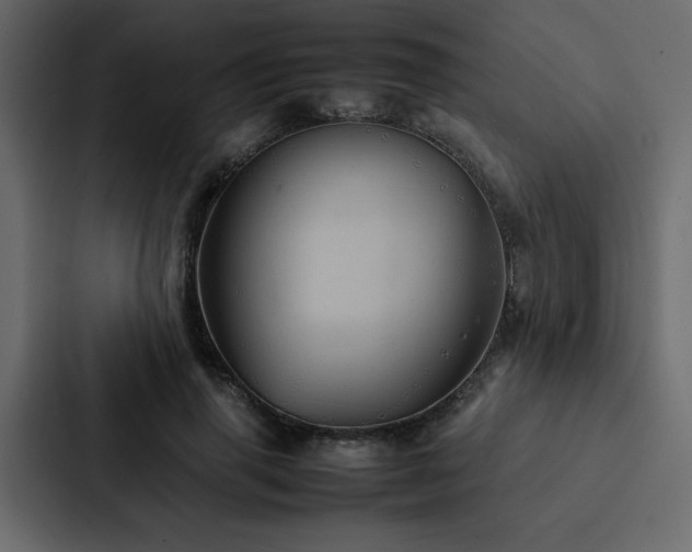 X0000088230645200705151453