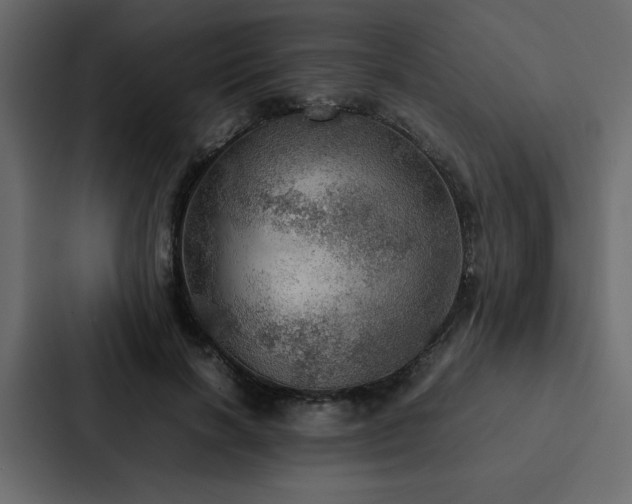X0000088230646200705151453