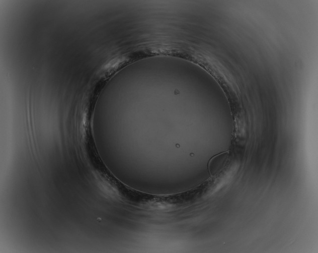X0000088230648200705151453