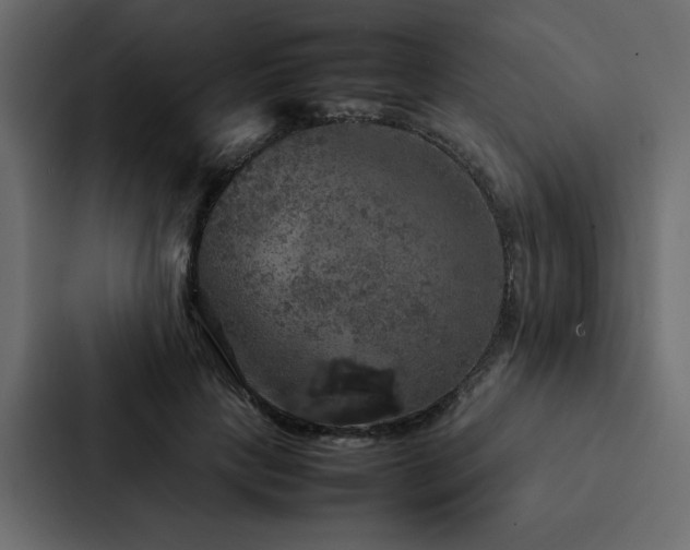 X0000088230649200705151454