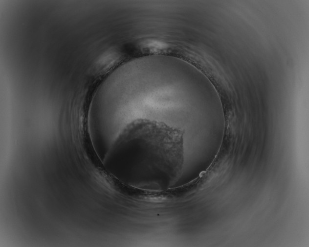 X0000088230650200705151454