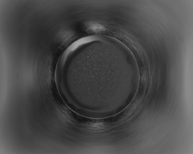 X0000088230651200705151454