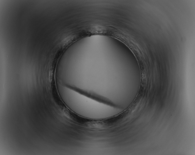 X0000088230652200705151454
