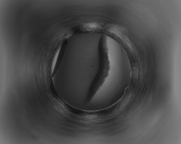 X0000088230653200705151454