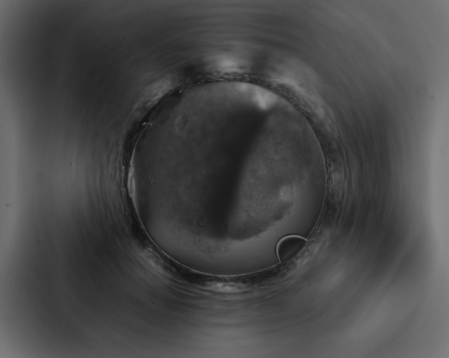 X0000088230654200705151454