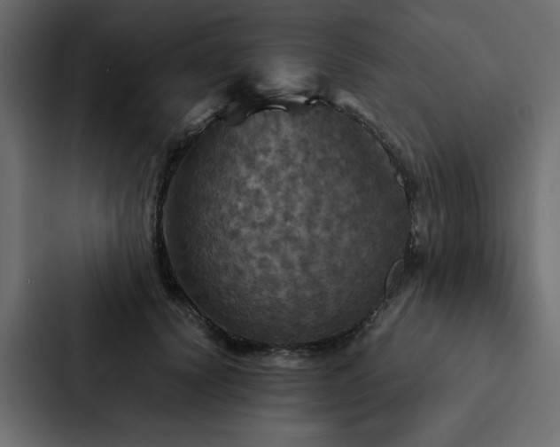 X0000088230656200705151454
