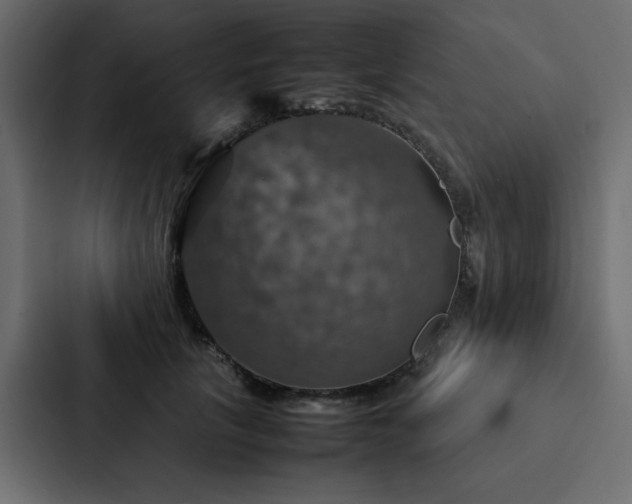 X0000088230657200705151454