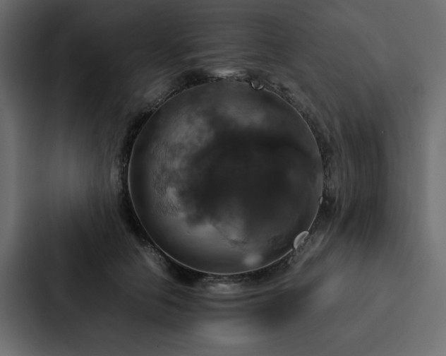 X0000088230658200705151454
