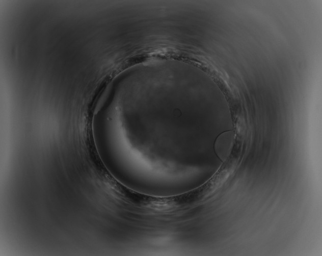 X0000088230659200705151454