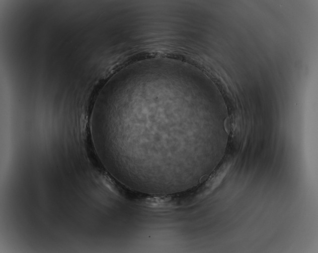 X0000088230660200705151454