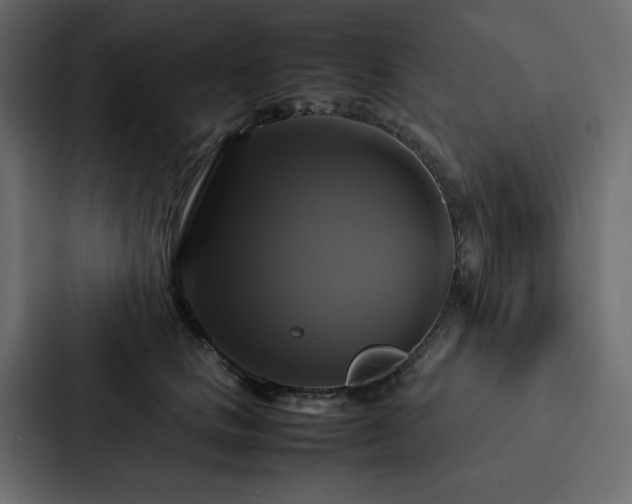 X0000088230661200705151454