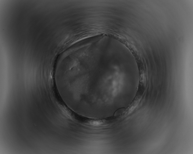 X0000088230662200705151454