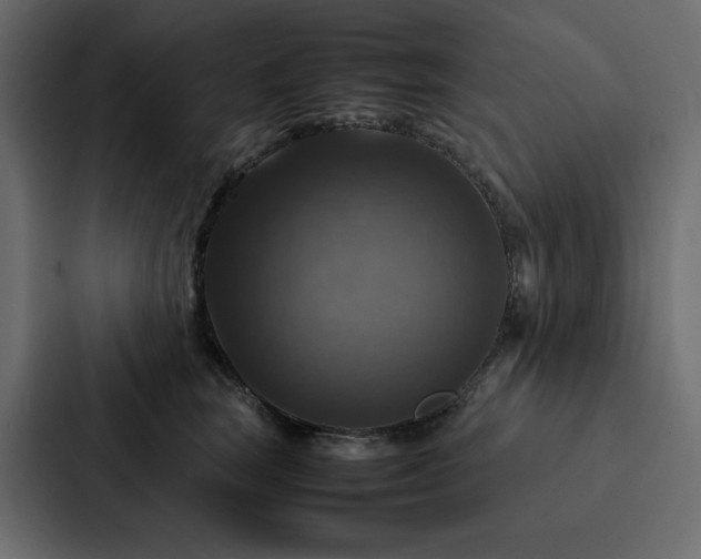 X0000088230663200705151454