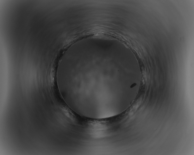 X0000088230664200705151454