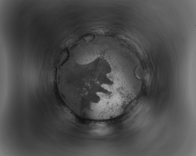 X0000088230665200705151454