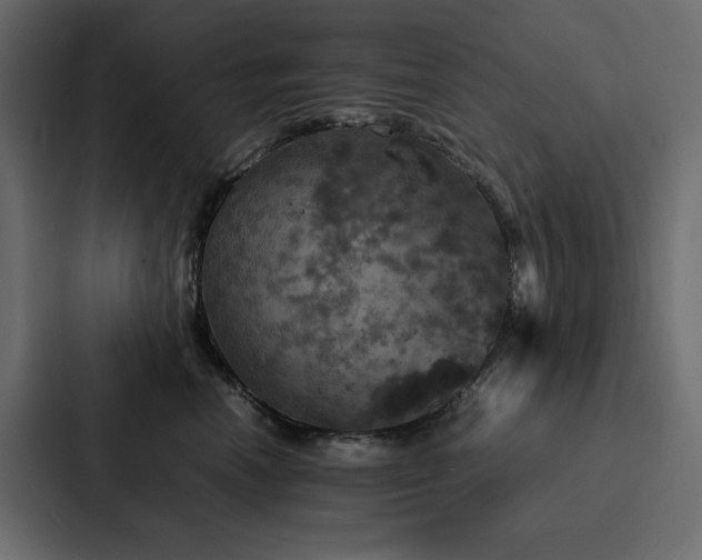 X0000088230666200705151454