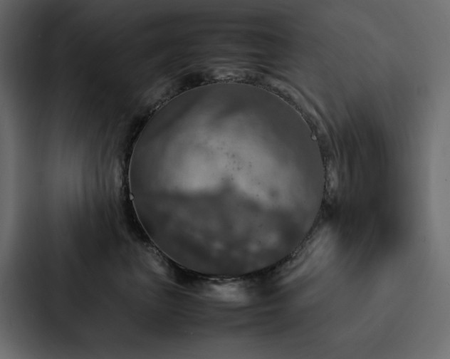 X0000088230667200705151454